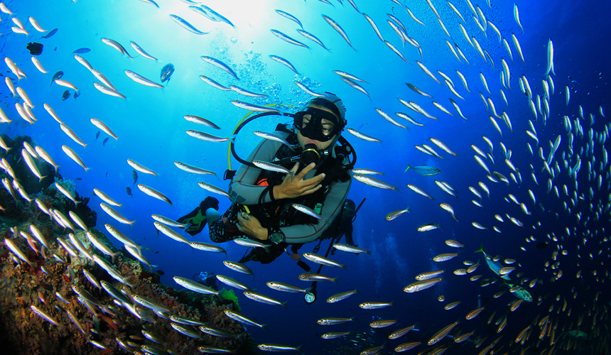 Diving in Sri Lanka