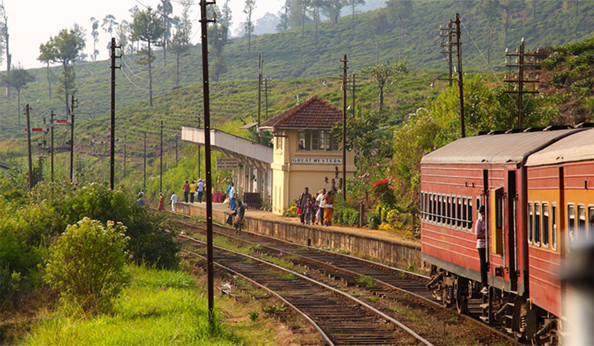 Rail Tours