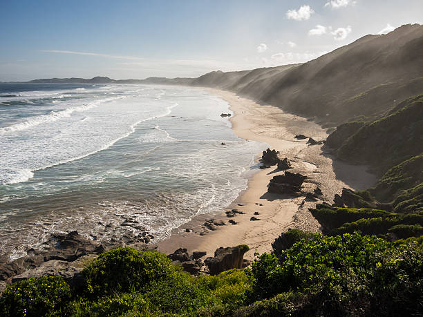 beach cleaning initiative