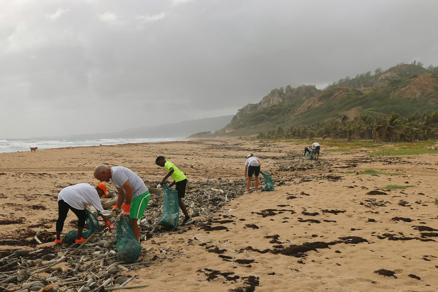 beach cleaning initiative