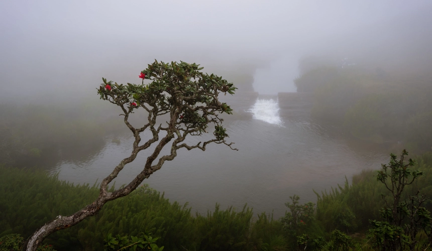 Horton Plains National Park